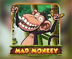 Mad Monkey H5